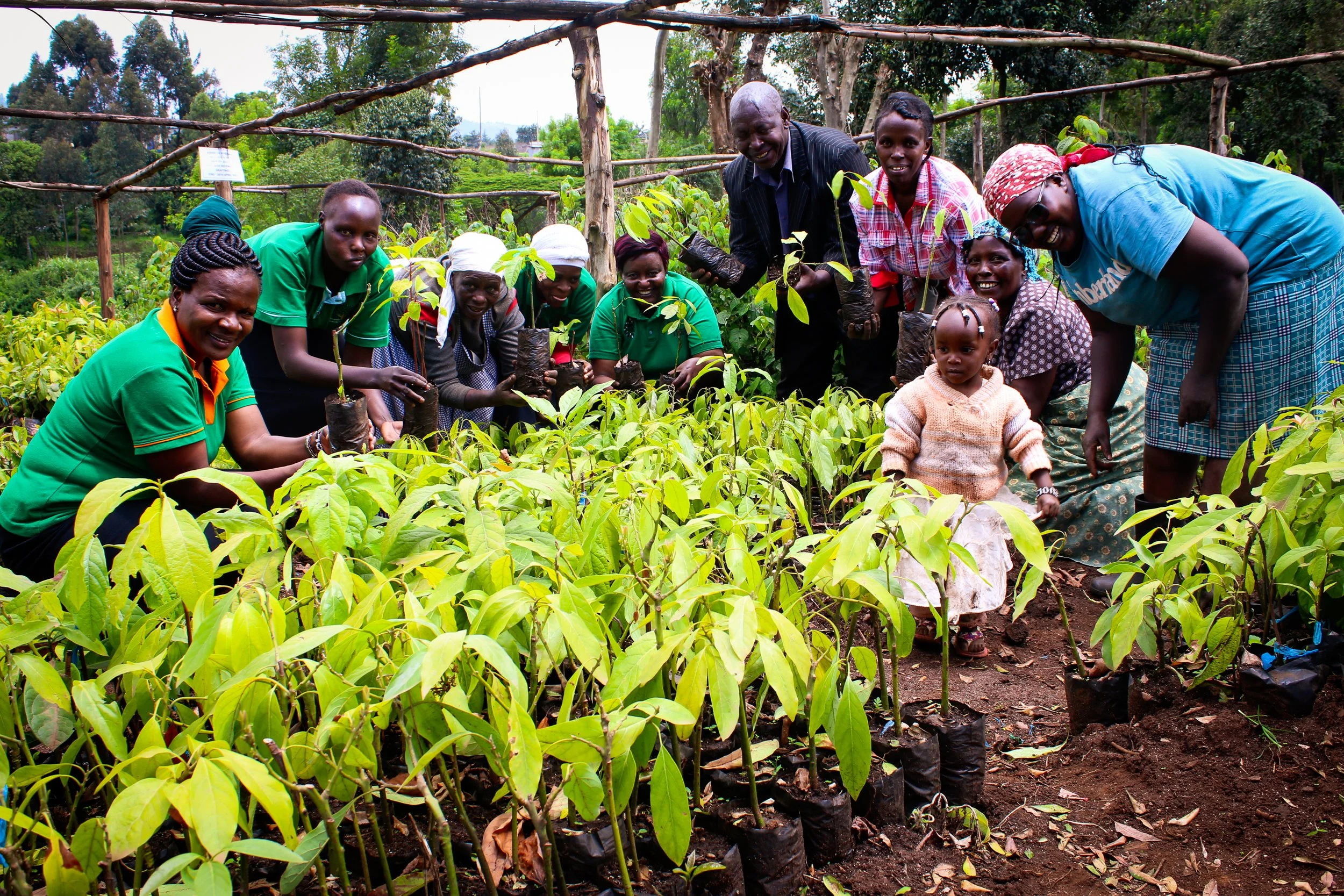 Tree Planting, Clean Water Projects